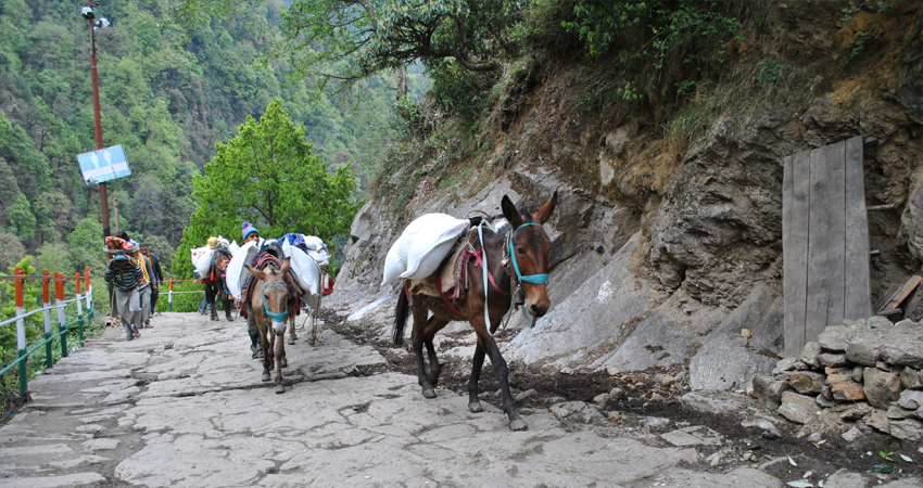 Images for Kedarnath